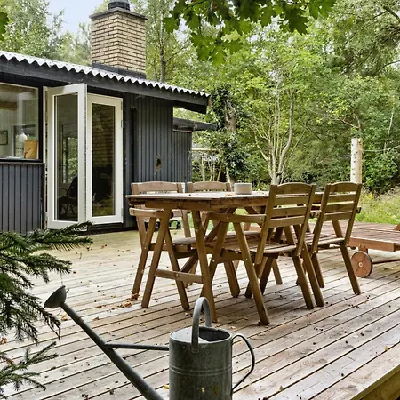Forest Vibe And Idyll On Mon *