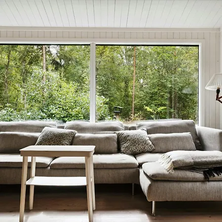 Forest Vibe And Idyll On Mon *