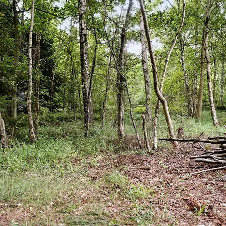 別荘 Forest Vibe And Idyll On Mon