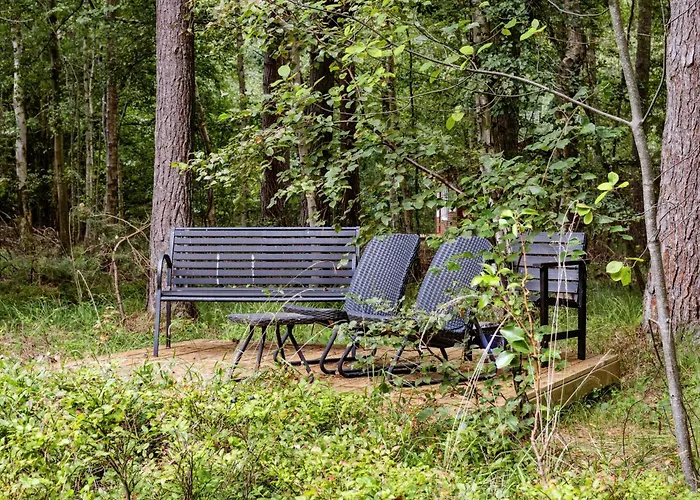 Forest Vibe And Idyll On Mon *