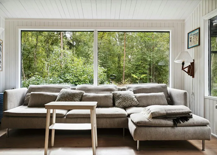 Forest Vibe And Idyll On Mon *