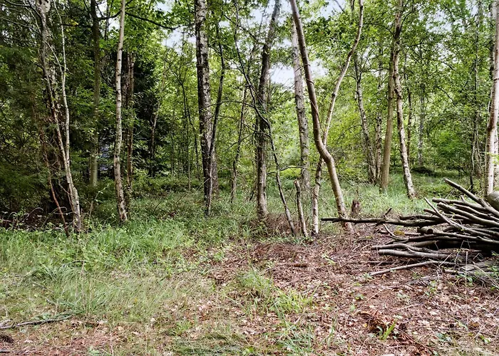 度假居 Forest Vibe And Idyll On Mon