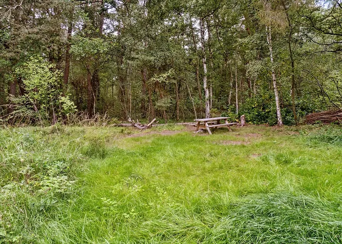 Forest Vibe And Idyll On Mon Дом отдыха Стеге